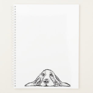 basset blanc