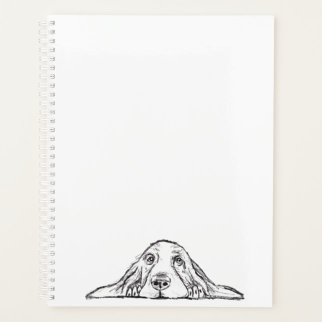 basset blanc (Devant)