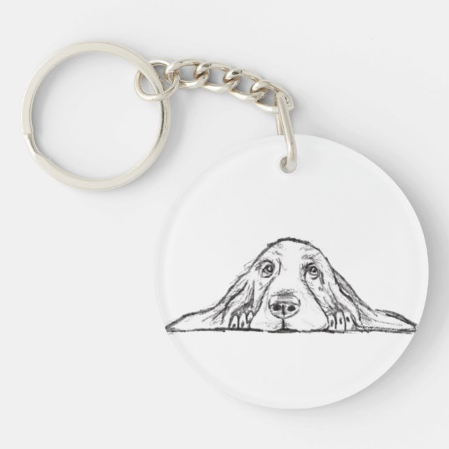 basset blanc (Devant)