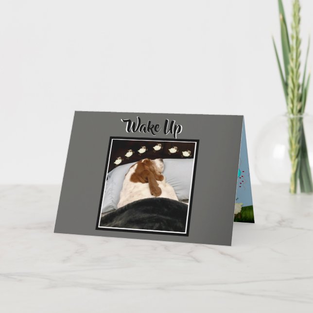 Basset "Compter Les Moutons" Sur La Carte D'Annive (Devant)