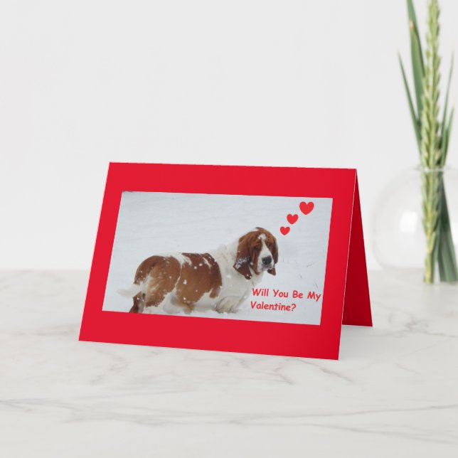 Basset dans la neige sur la carte de Saint Valenti (Devant)