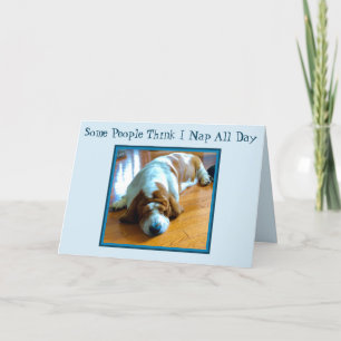 Basset faisant une sieste sur la carte