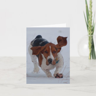 Basset Fast Card