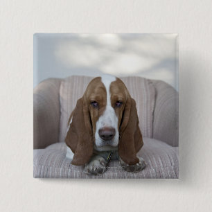 Basset Hound 2 Inch Square Button