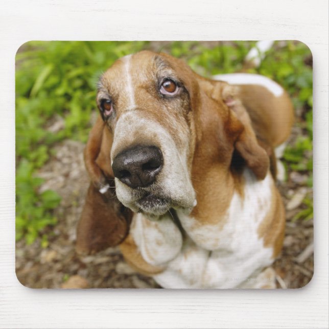 Basset Hound 2 Mouse Pad (Front)