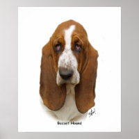 Basset Hound 9L9D-05