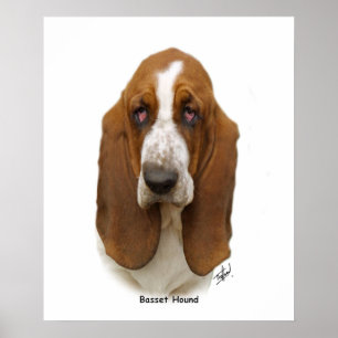 Basset Hound 9L9D-05 Poster