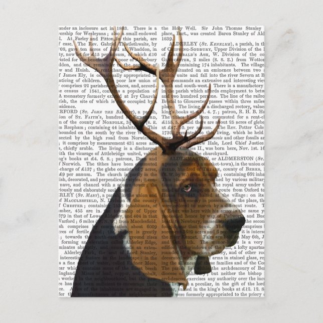 Basset Hound and Antlers Postcard (Front)