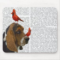Basset Hound and Birds