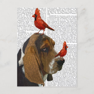 Basset Hound and Birds Postcard