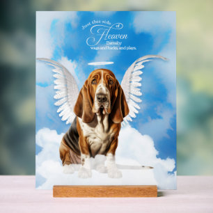 Basset Hound Angel Chien Nom animal Mémorial