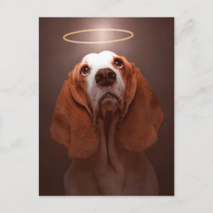 Basset Hound Angel Postcard