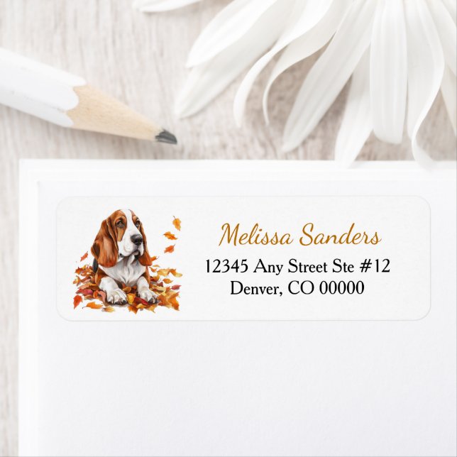 Basset Hound Autumn Leaves Return Address (Insitu)