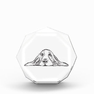 basset hound black white simple puppy dog eyes  photo block