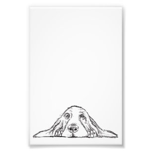 basset hound black white simple puppy dog eyes photo print