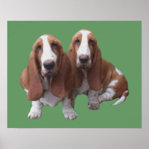 Basset Hound Buddies Print