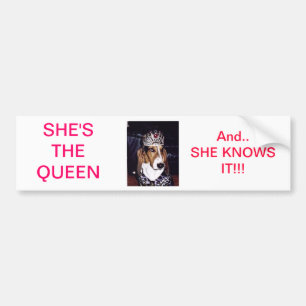 BASSET HOUND BUMPER STICKER
