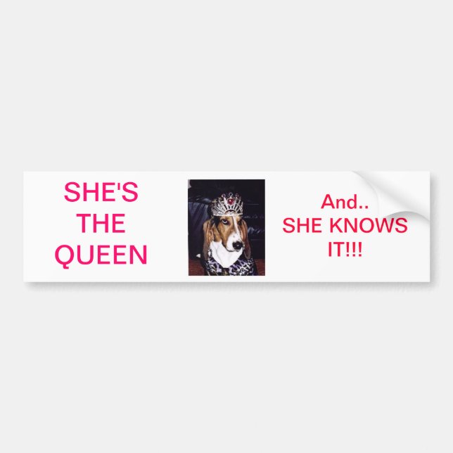BASSET HOUND BUMPER STICKER (Front)