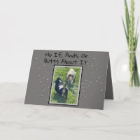 Basset Hound Butt Funny Birthday Card