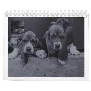 Basset hound calendar