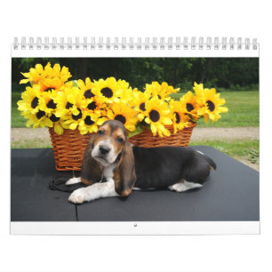 Basset hound calendar
