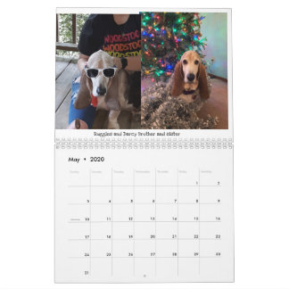 Basset hound calendar