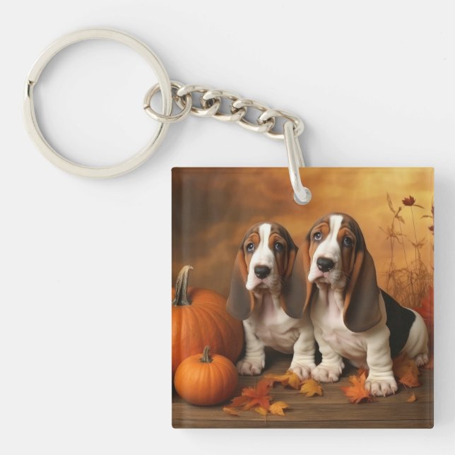 Basset Hound Chiot Automne Citrouille de plaisir (Devant)