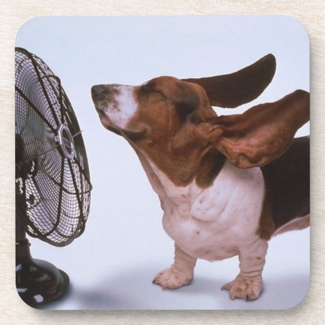 Basset Hound coaster (Front)