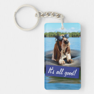 Basset Hound dans les lunettes de soleil