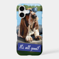 Basset Hound dans les lunettes de soleil