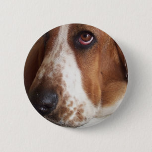 Basset Hound Dog Round Pin