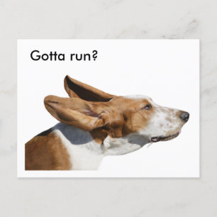 Basset Hound Ears Flapping In Wind Pet Sitter  Postcard