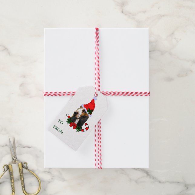 Basset Hound - Étiquettes cadeaux (Avec de la ficelle)