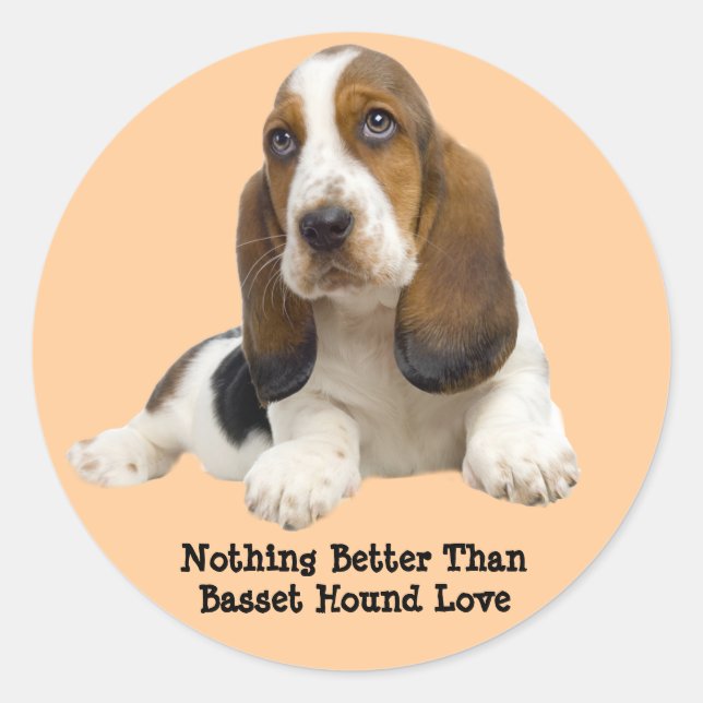 Basset Hound Fabulous Face Sticker (Front)