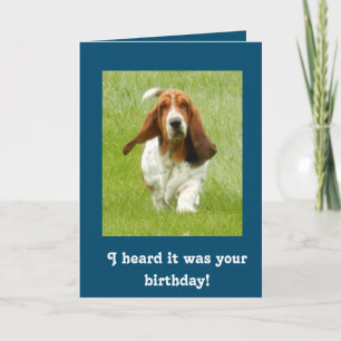 Basset Hound funny birthday card