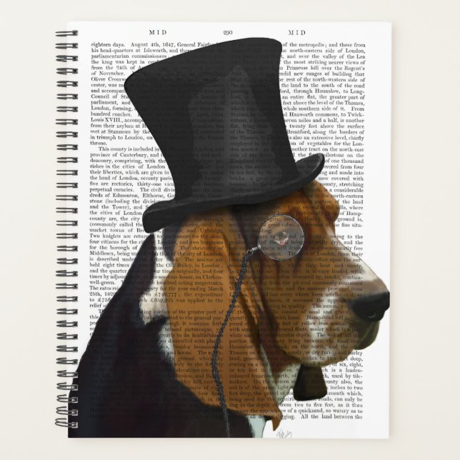 Basset Hound, Hound officiel et Casquette (Devant)