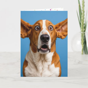Basset Hound Humourous Birthday Card