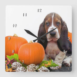 Basset Hound in pumpkins dog square clock
