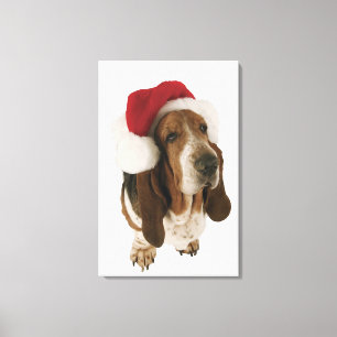 Basset hound in Santa hat Canvas Print