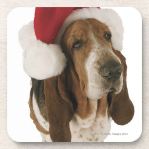 Basset hound in Santa hat Coaster