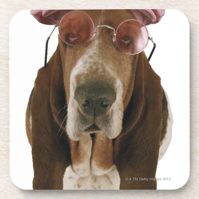 Basset hound in sunglasses and cap coaster (Front)
