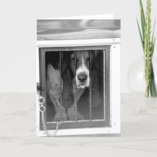 basset hound jail card