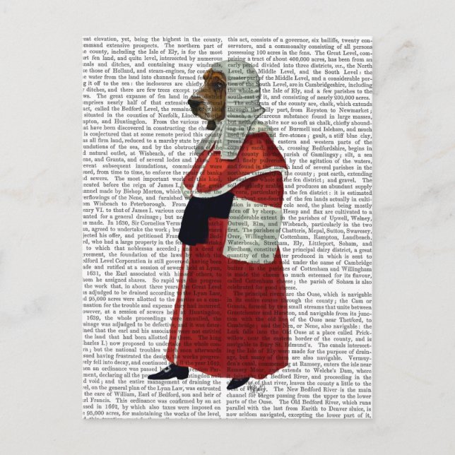 Basset Hound Judge Full Postcard (Front)