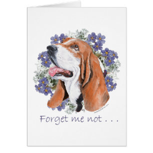 Basset Hound Keeps