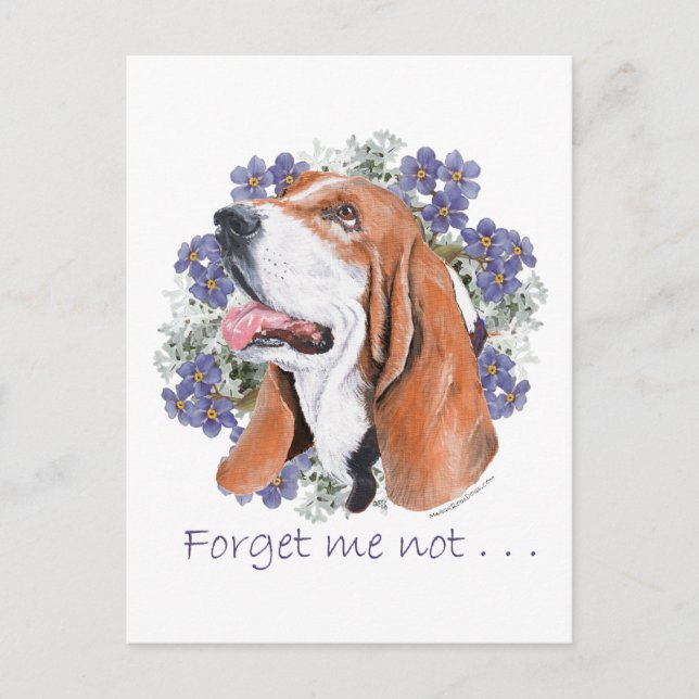 Basset Hound Keepsake Postcard (Front)