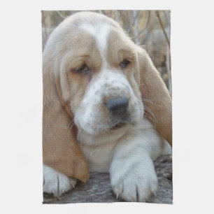BaSSeT HoUND Kitchen Towel