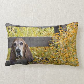 Basset hound lumbar pillow