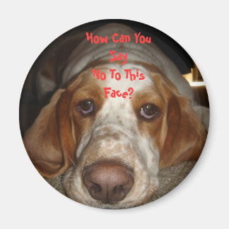 Basset Hound Magnet