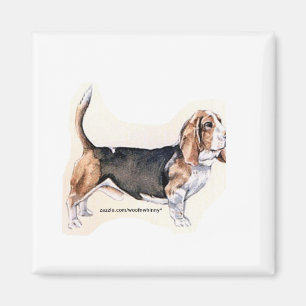 Basset Hound magnet