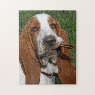 Basset Hound Morning Chew Jigsaw Puzzle